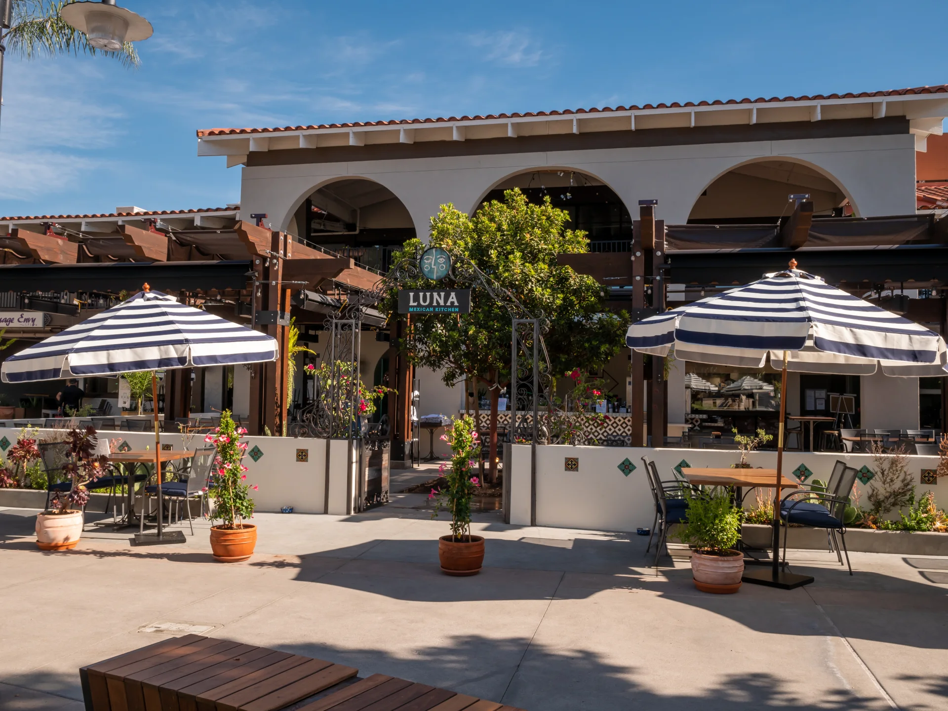 LUNA’s Pruneyard patio, with leafy trees, hanging lanterns and tables ready to welcome guests